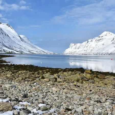 The Crush Pensión 4*