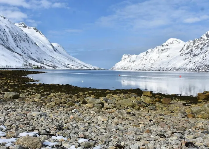 The Crush Penzion 4*