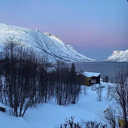 The Crush Эрсфьордботн