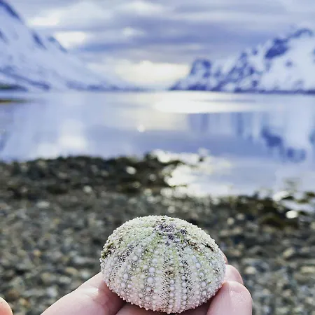 The Crush Гостевой дом